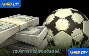 Thuật ngữ cá độ bóng đá